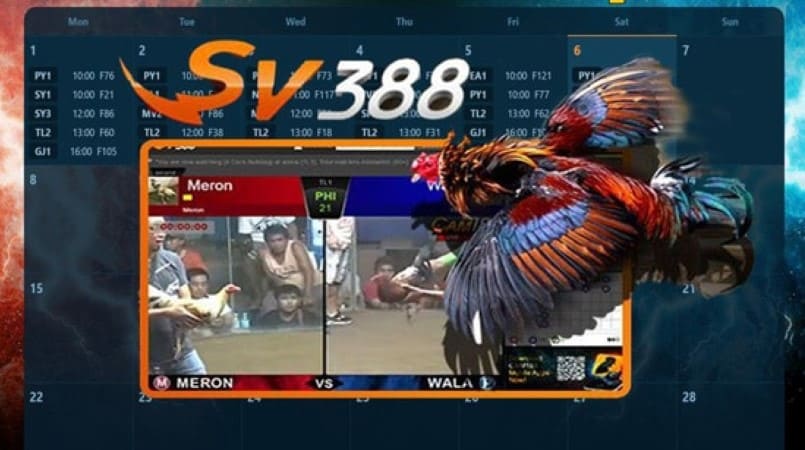 SV388 là trang đá gà uy tín nhất thời điểm hiện tại